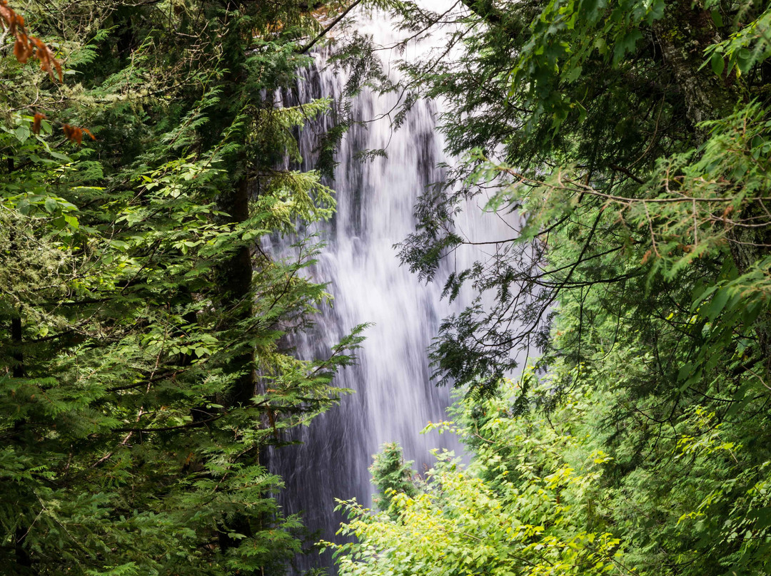 Miners Falls-缪尼辛必去景点