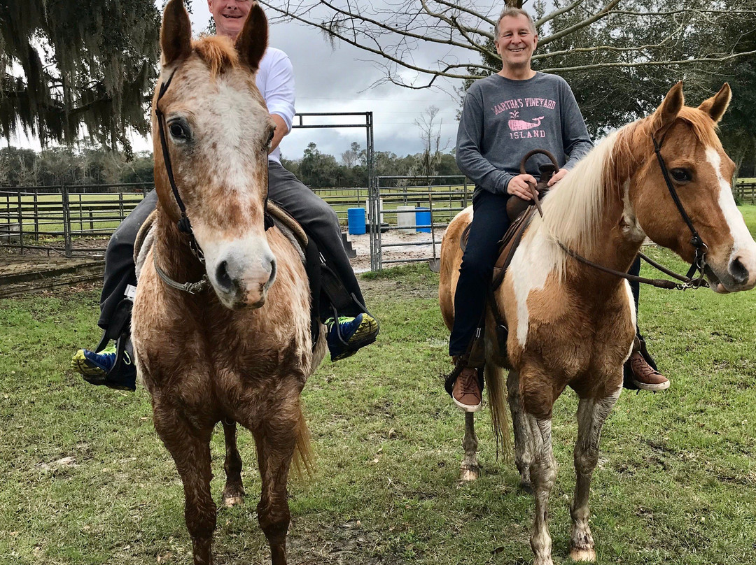 Deep Creek Stables-Pierson必去景点
