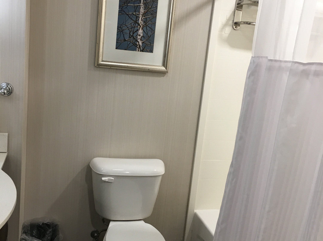 Hilton Garden Inn Bristol主图