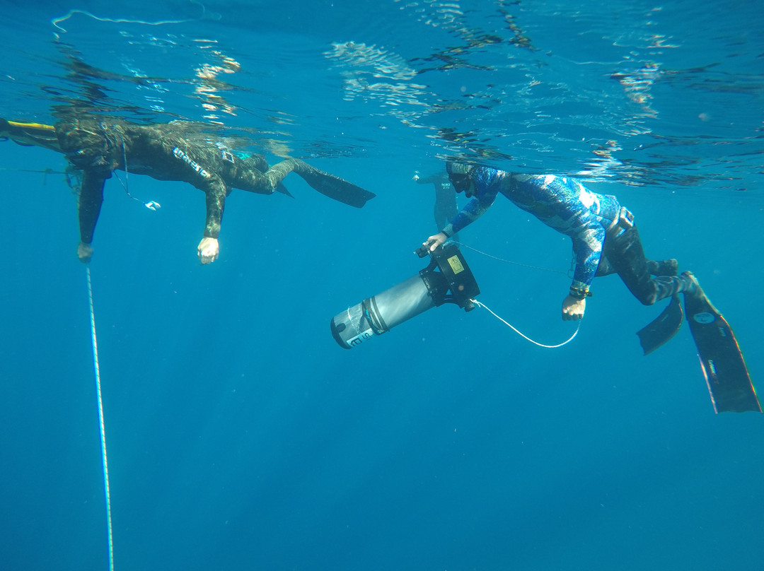 Apnea Canarias Freediving Center-圣克鲁斯-德特内里费必去景点