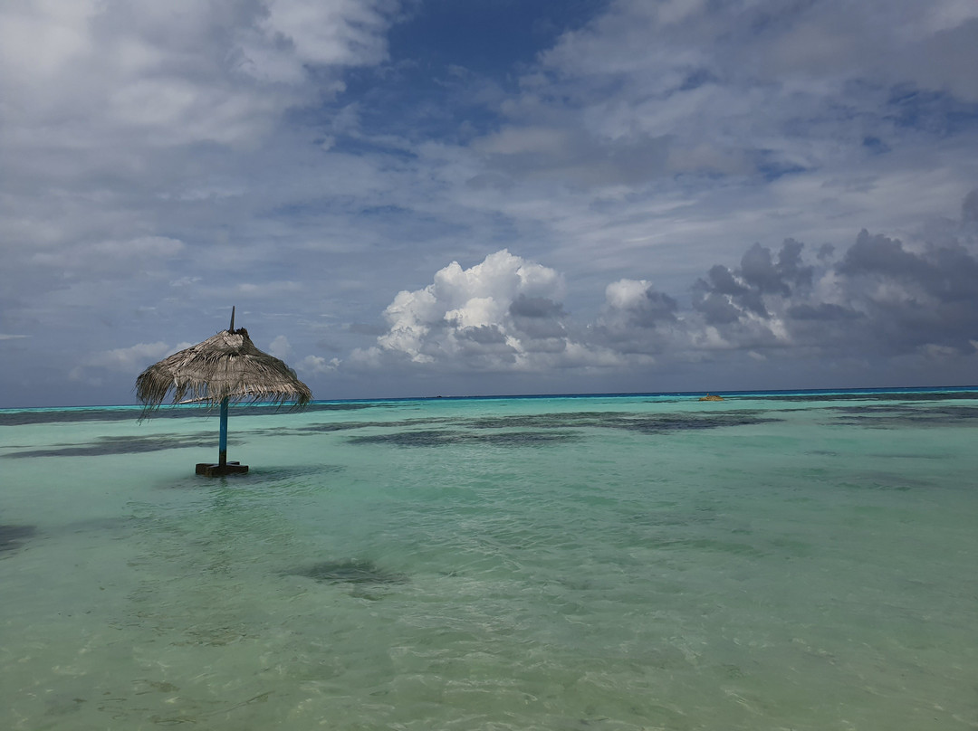 Whale Shark Inn主图