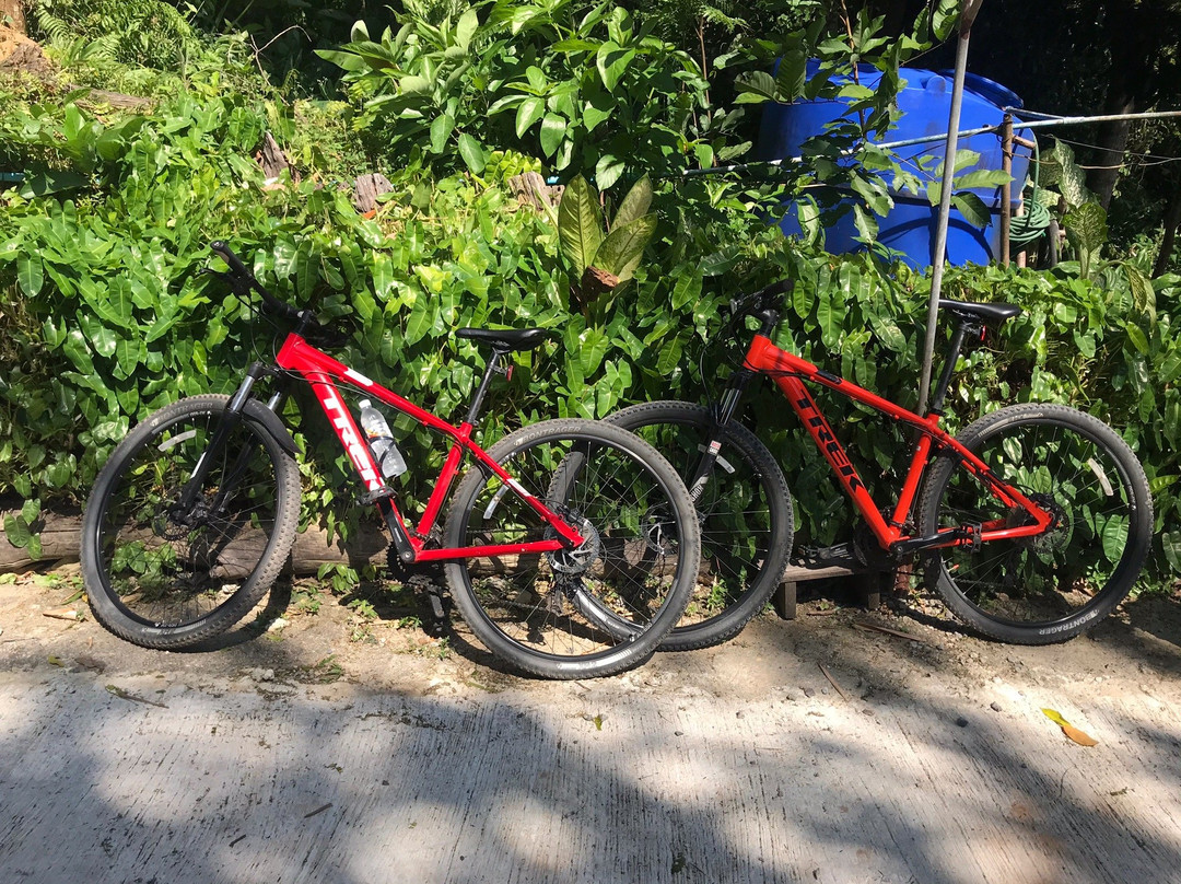 E-Bike Tours and Rental-Ban Sala Dan必去景点