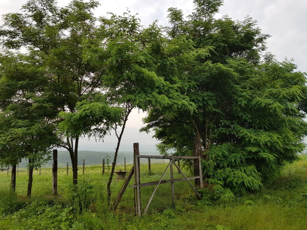 Camping A & A景点图片