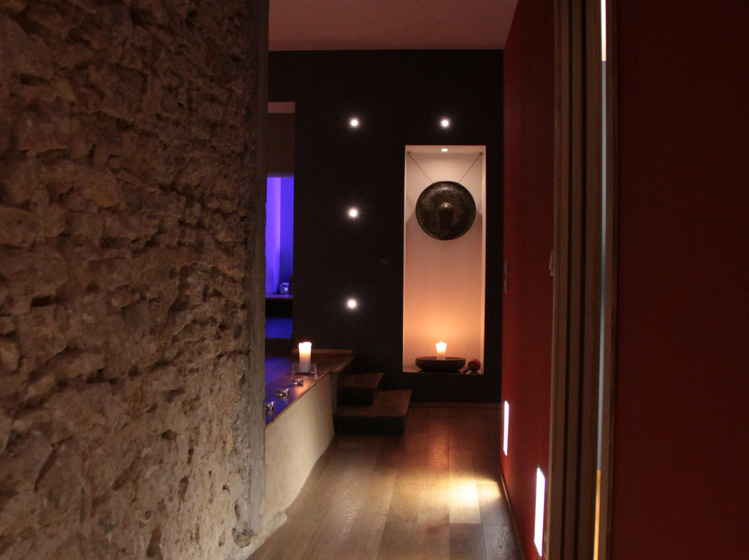 Centre Ayurvedique Aum Shanti景点图片