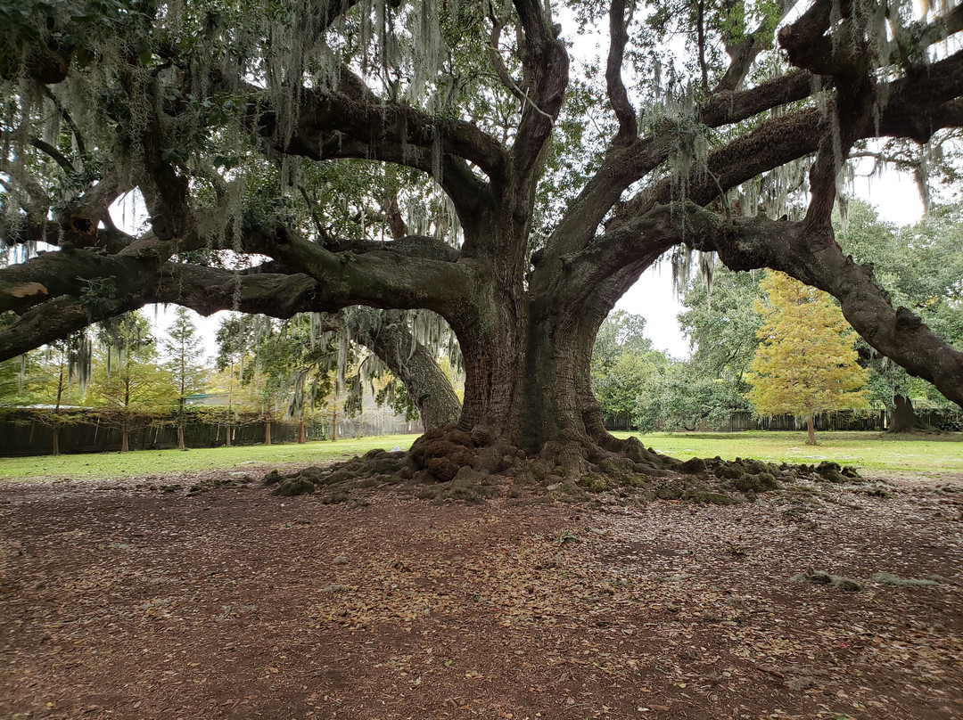 奥杜邦公园-新奥尔良必去景点