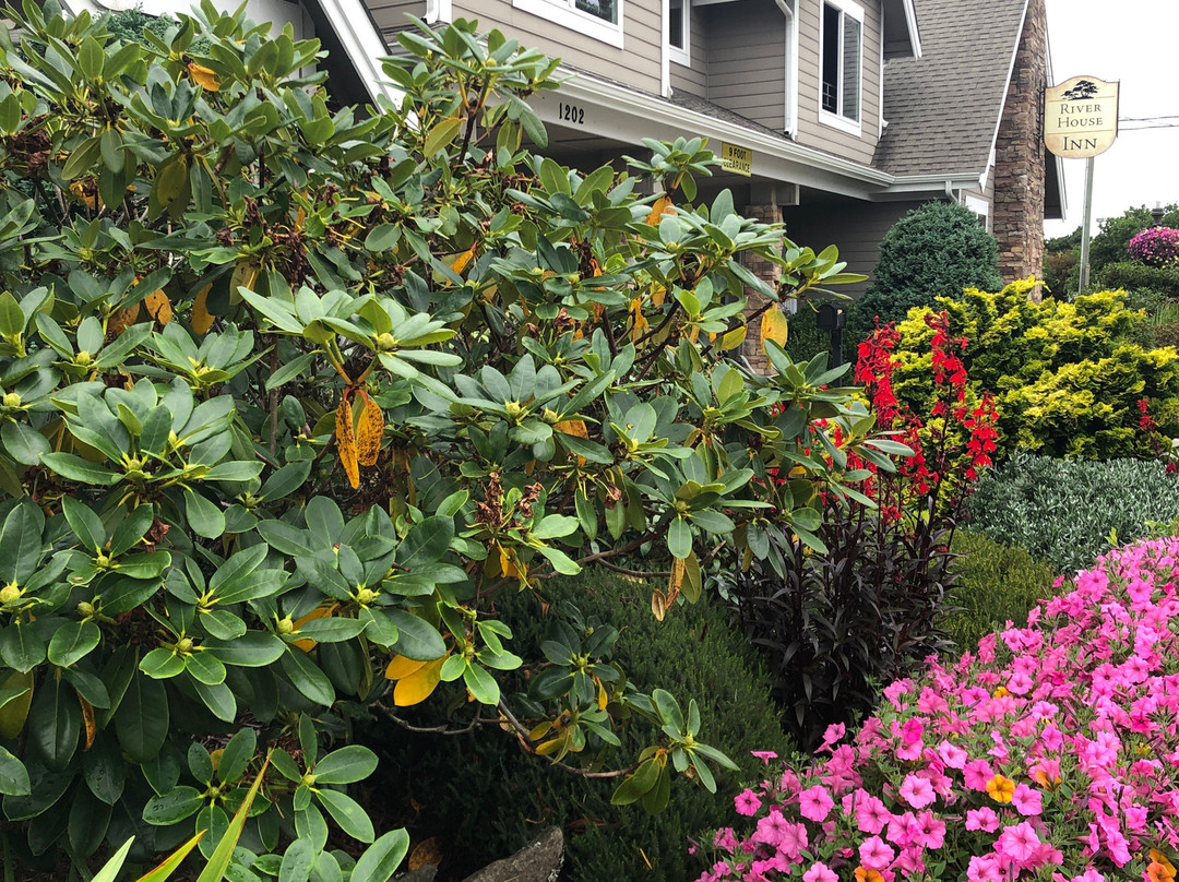 河屋汽车旅馆主图