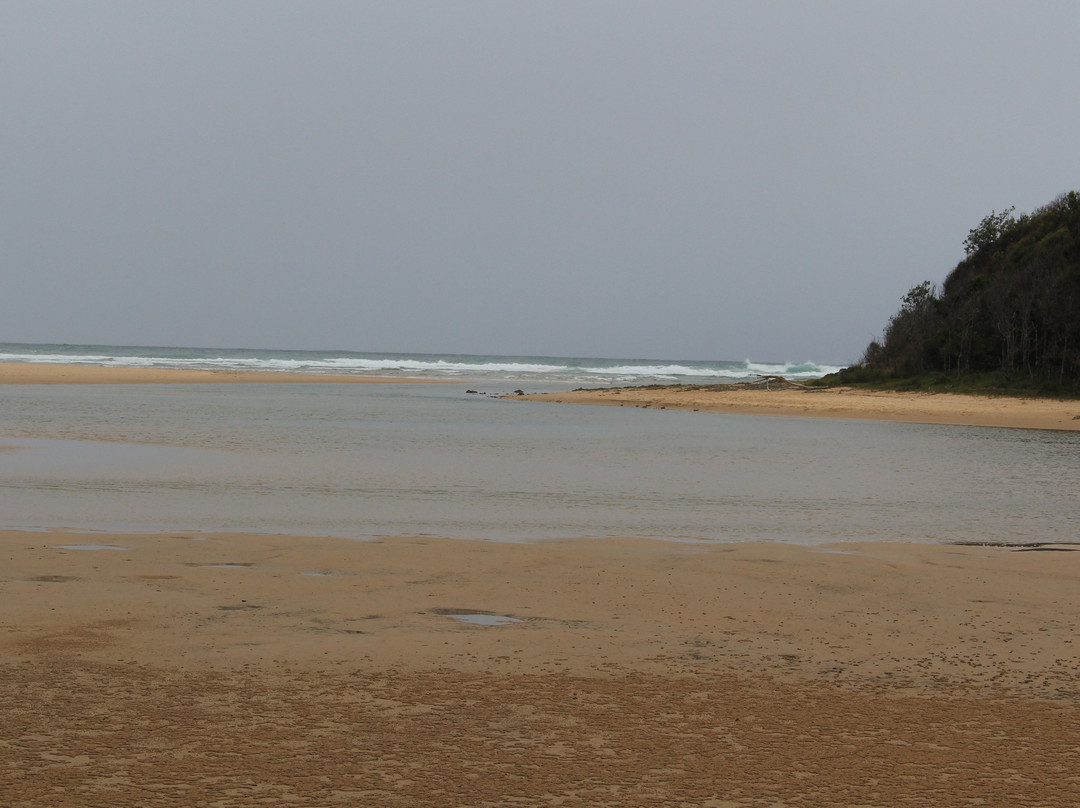 Moonee Beach Nature Reserve景点图片
