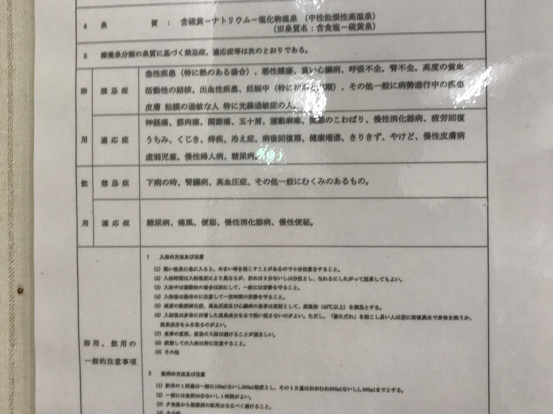 Hotel Minenoyu主图