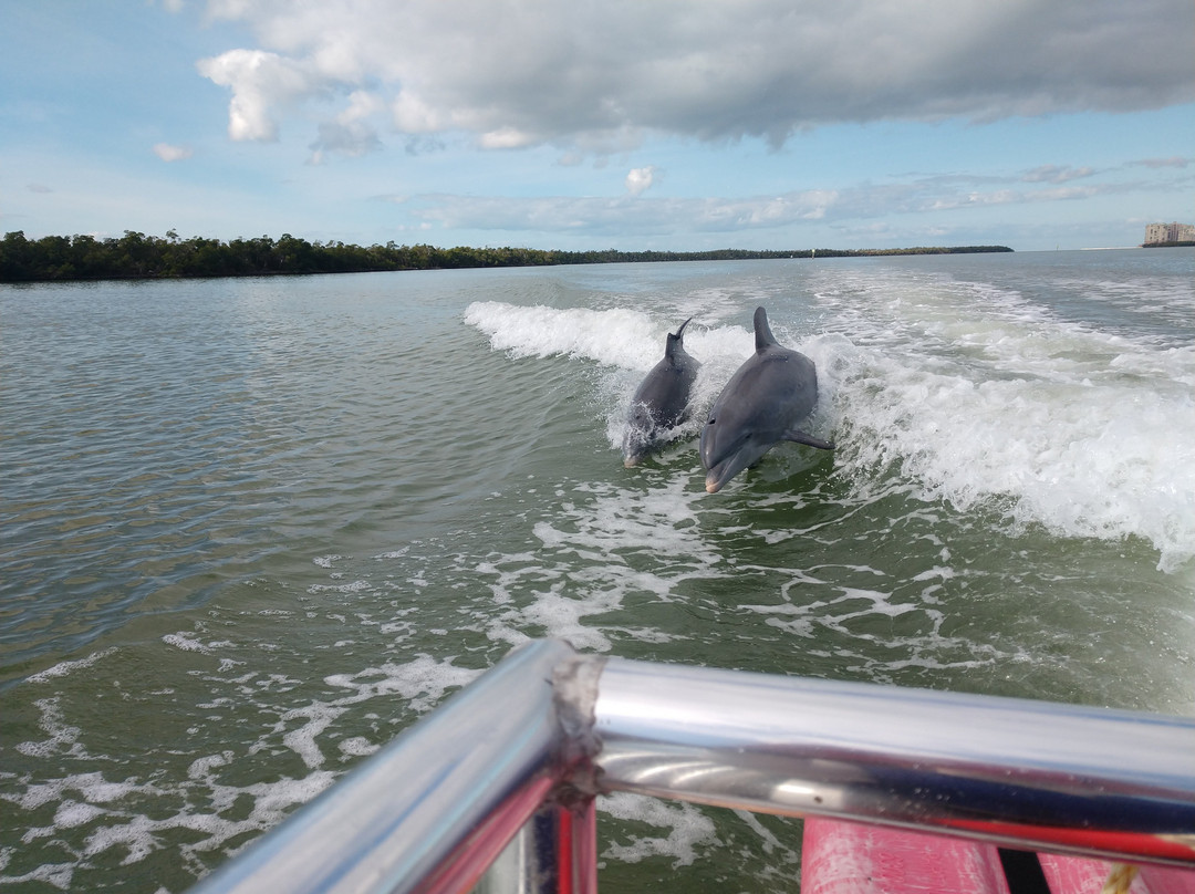 Everglades Day Safari-戴维必去景点