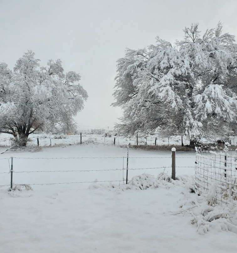 Casa Azul Bed & Breakfast主图