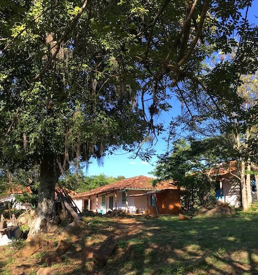 Finca San Pedro-官方