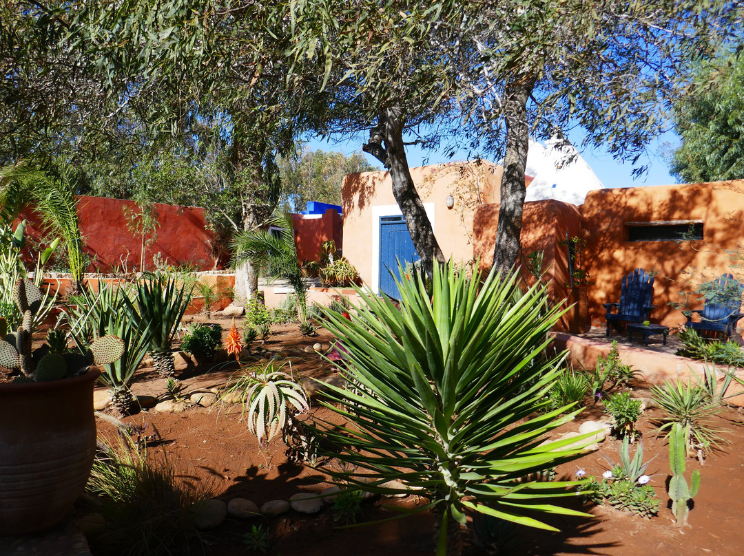 Riad Baoussala主图