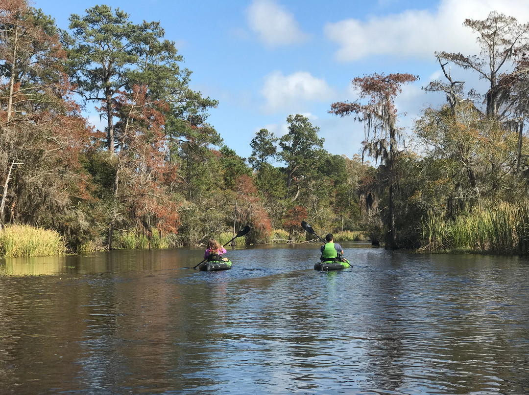 Bayou Adventure景点图片