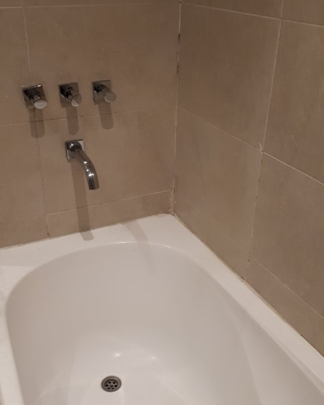 Hotel Bicentenario Suites & Spa主图