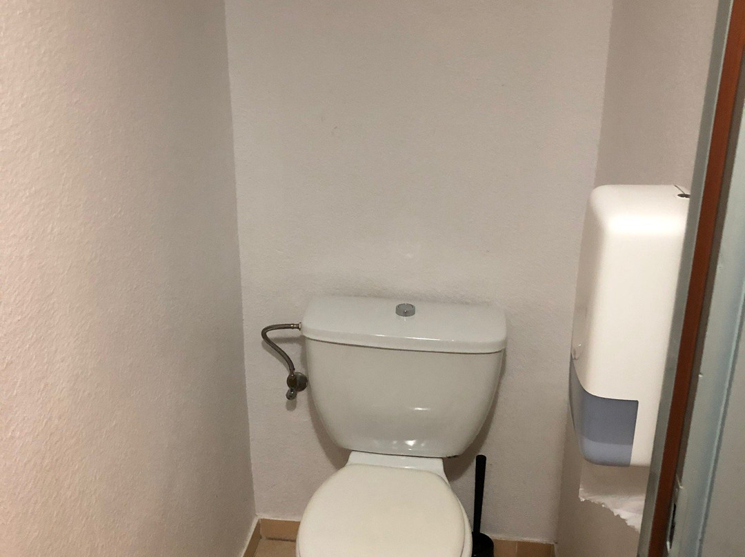 瑞莱斯福特城堡酒店主图