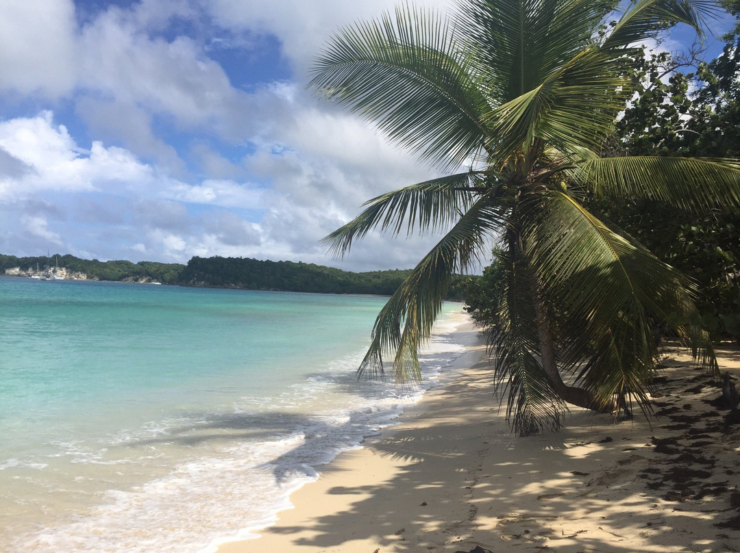 Anse de Mays-Marie-Galante必去景点