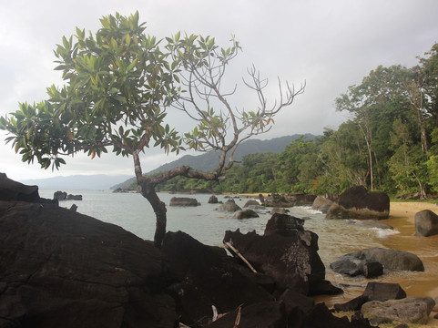 Masoala Forest Lodge主图