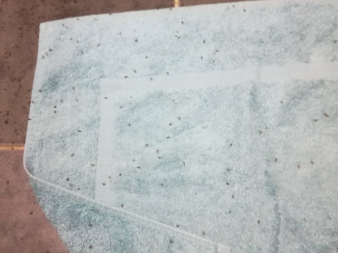 斯托尔汽车旅馆主图