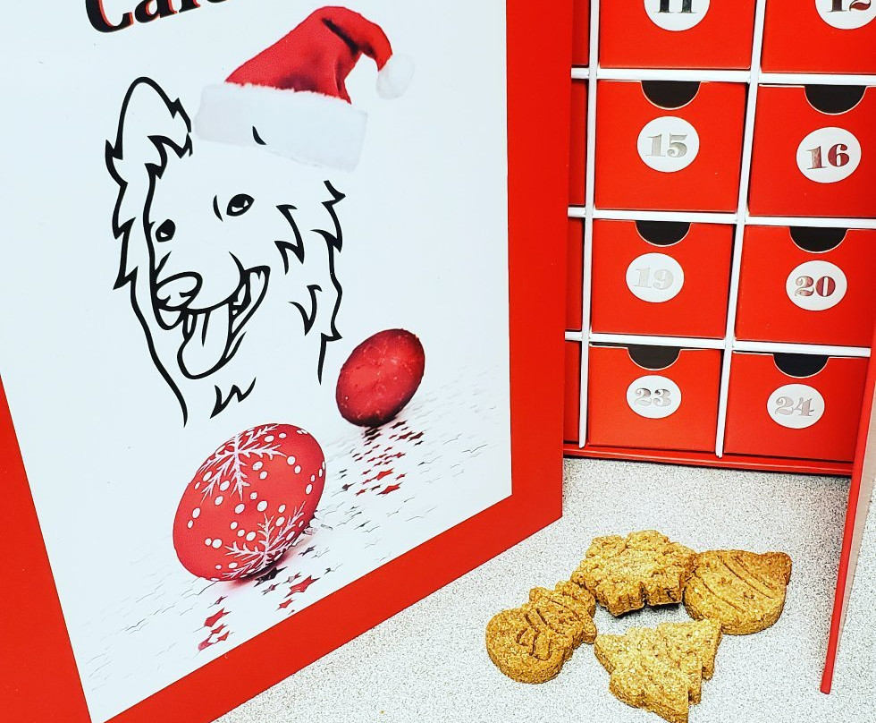 Spoil The Dog Bakery景点图片