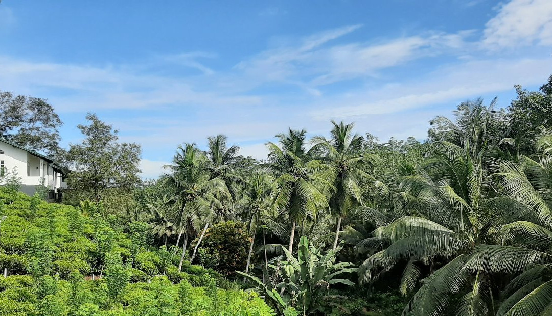 Nawalakanda Holiday Resort主图