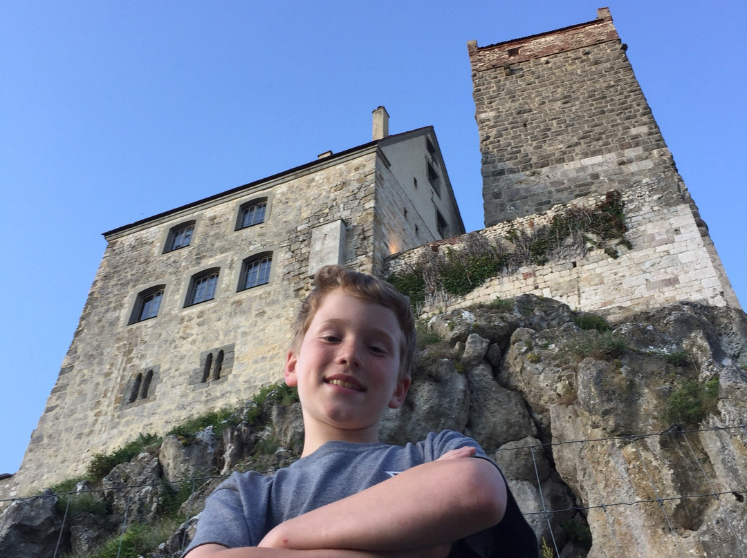 Burg Katzenstein主图
