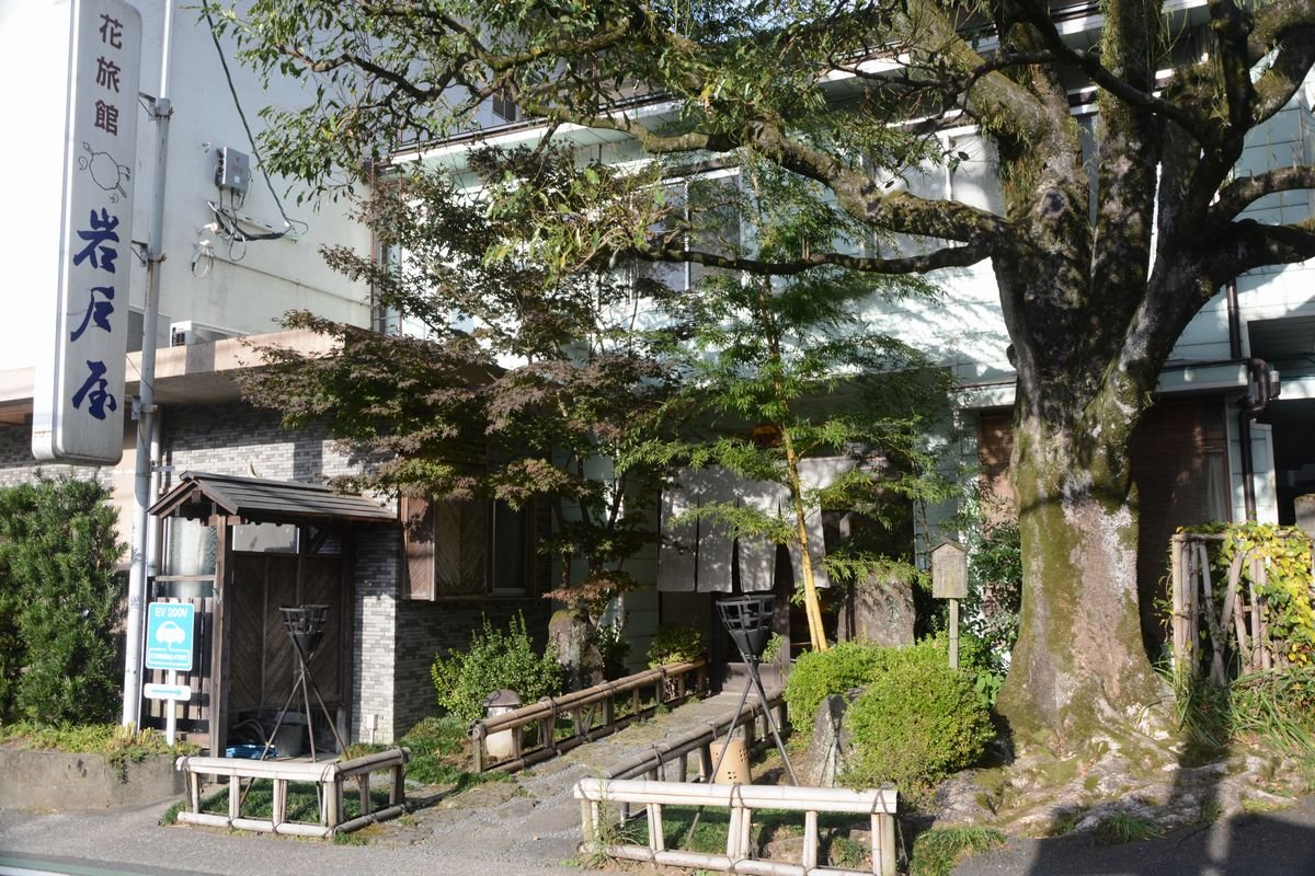 花旅馆 岩户屋-浴室