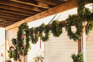 Millers Christmas Tree Farm景点图片