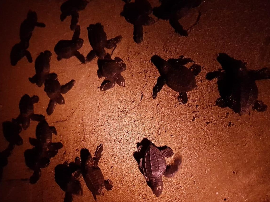 Salinas Bay Research Center-El Jobo必去景点