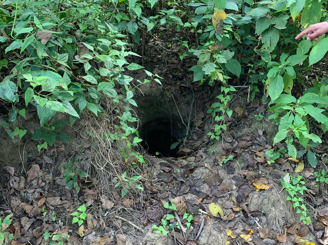 Kasara Chitwan主图