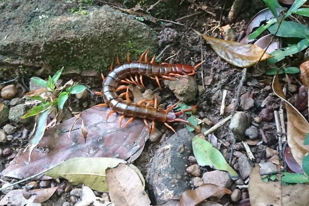 Chi Phat Community-Based Ecotourism-Chi Phat必去景点