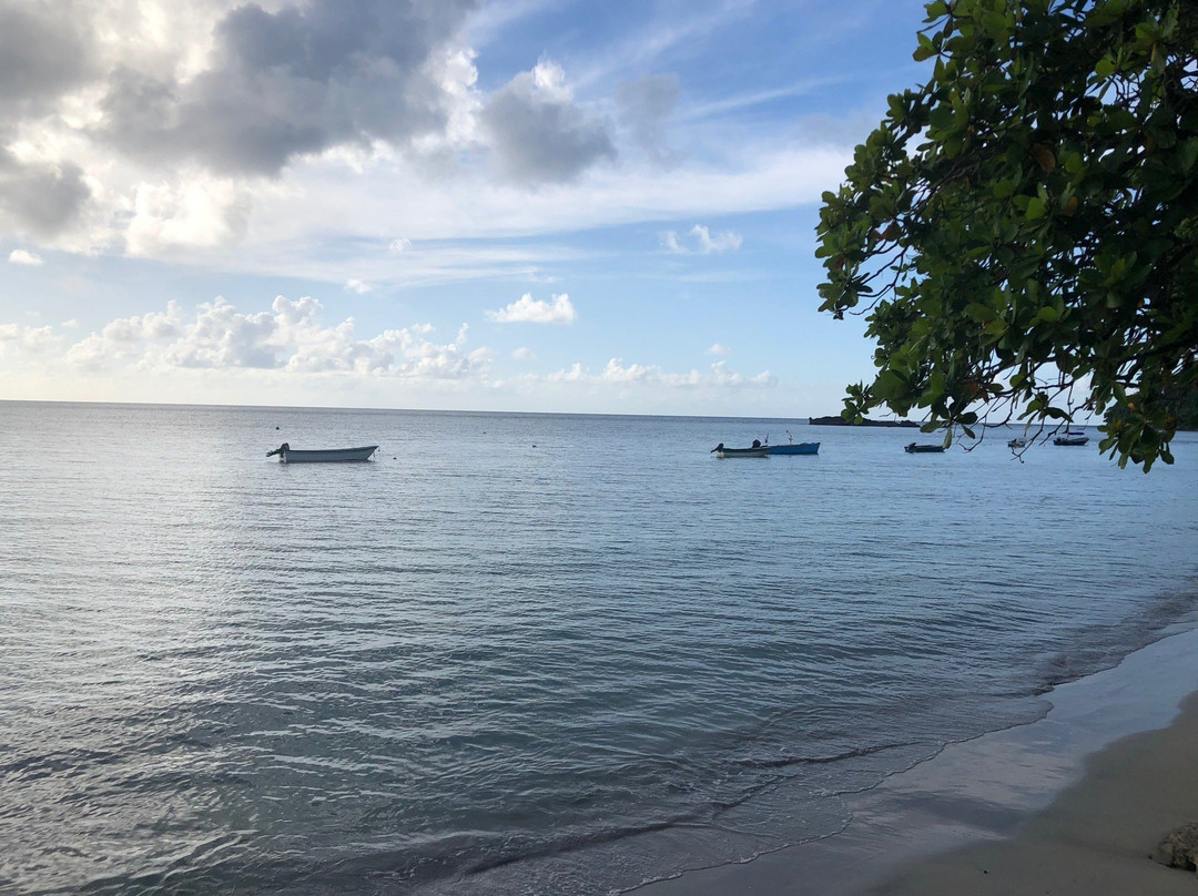 Miss Mary Hotel - Decameron主图