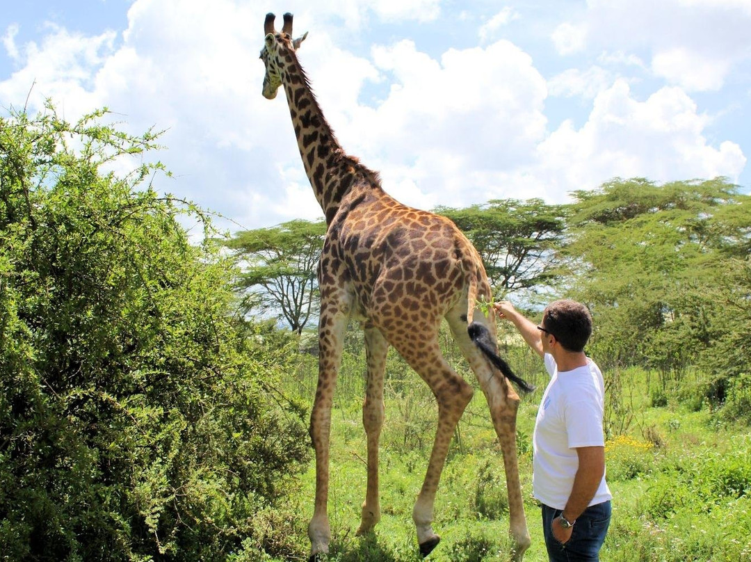 Gracepatt Safaris-Karen必去景点