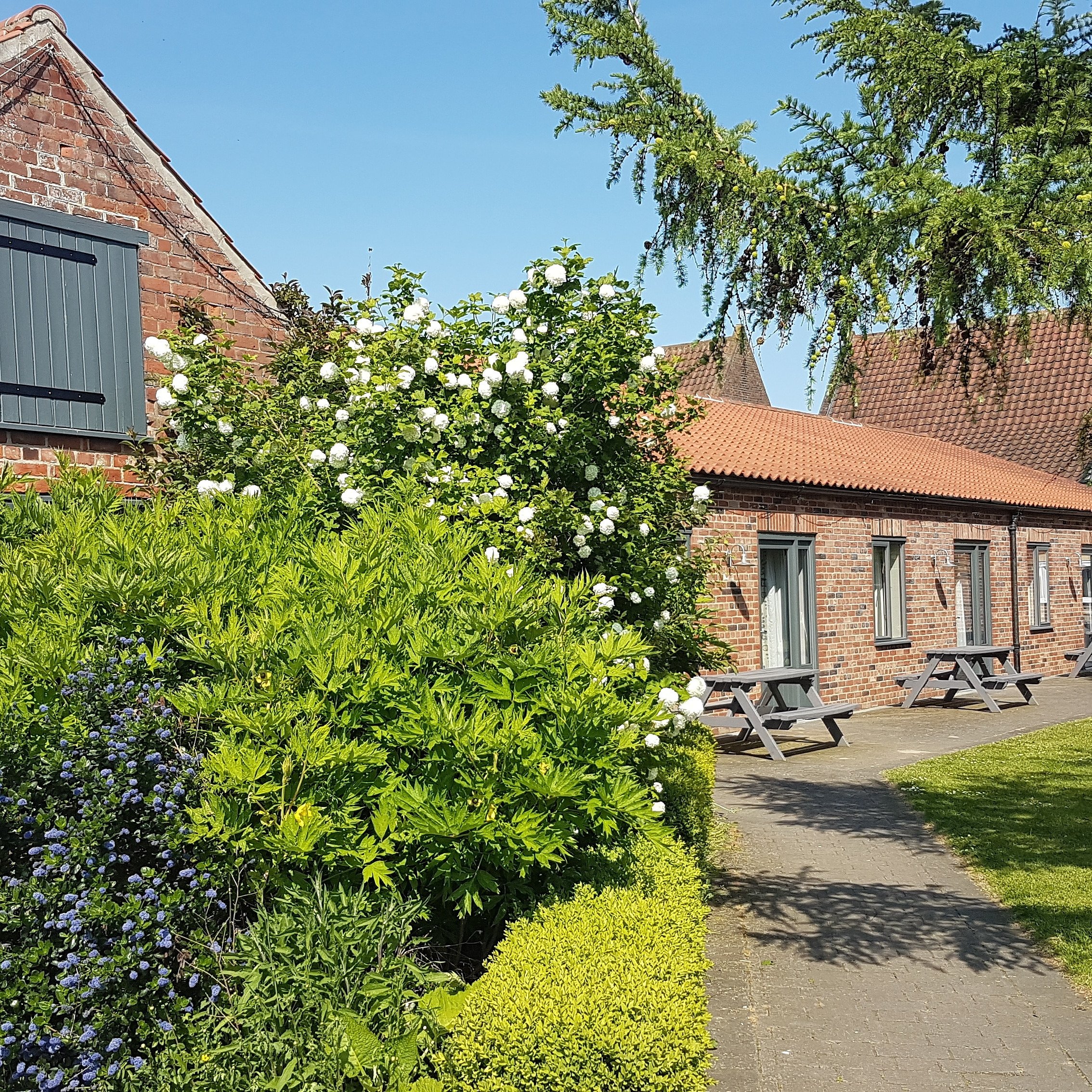 Elms Farm Cottages-官方