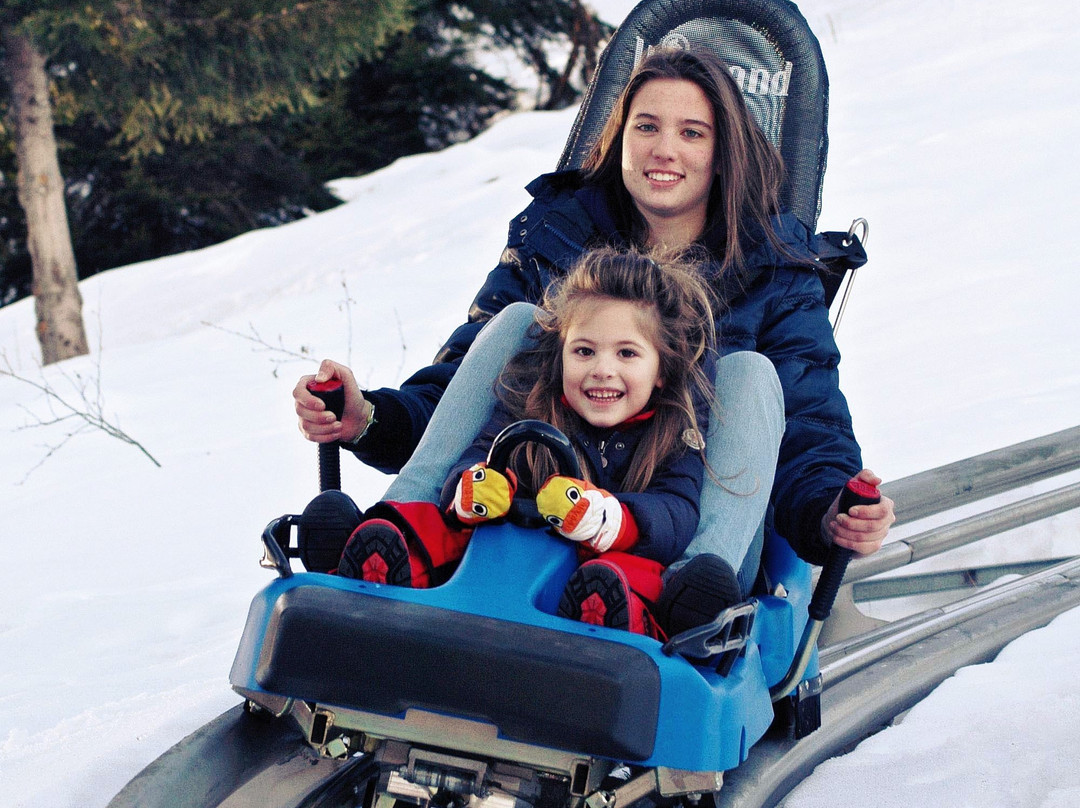 Bardonecchia Alpine Coaster景点图片