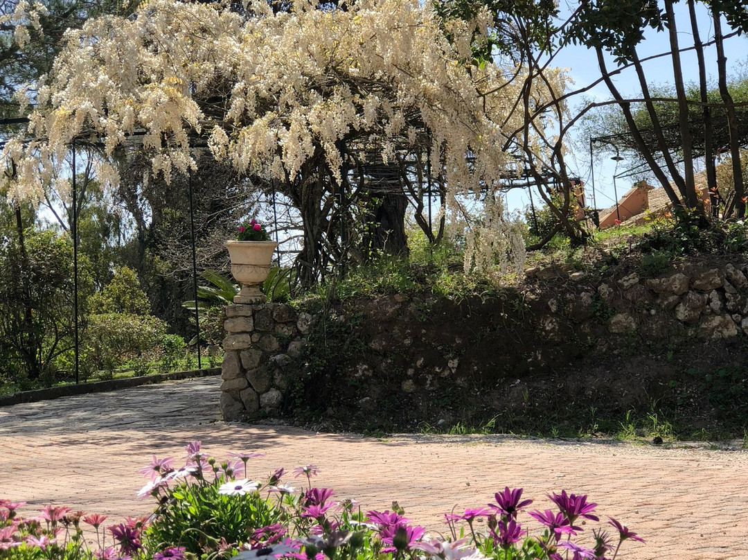 Capodistrias Museum - Kapodistrias Museum-Evropouli必去景点