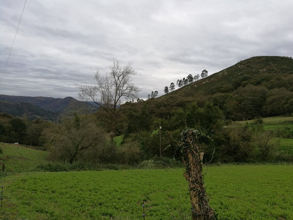 Senda Verde Oviedo Fuso de la Reina-奥维耶多必去景点