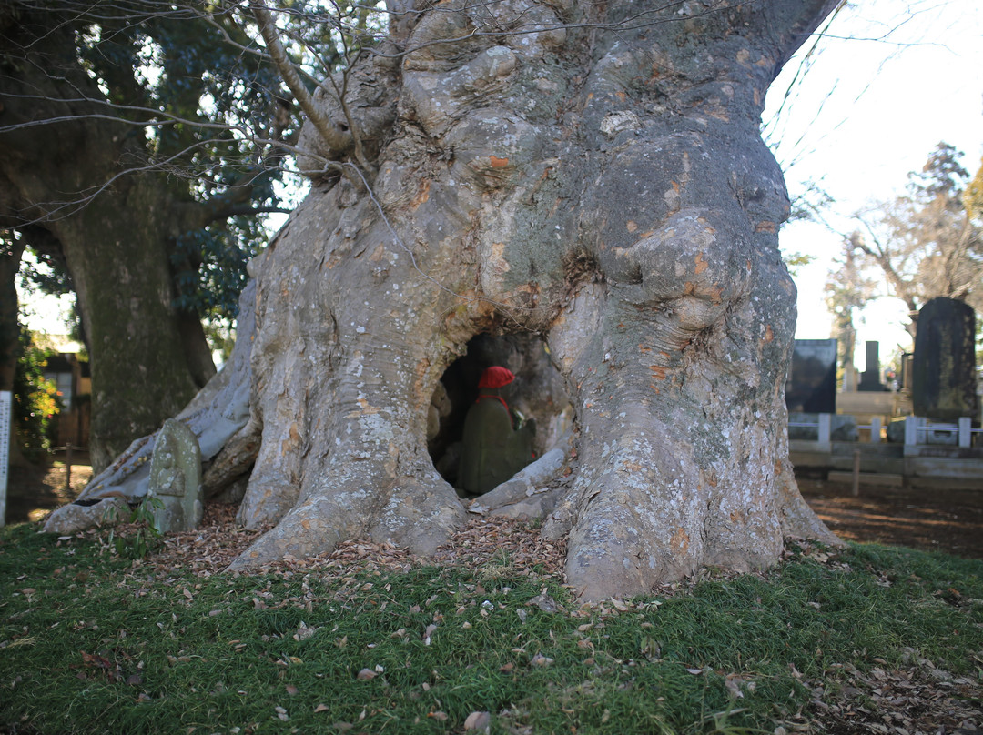 Kogen-ji Temple