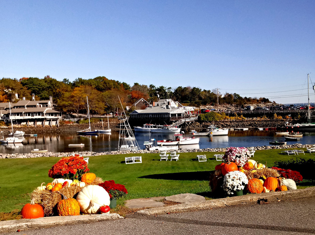 Auberge on the Cove主图