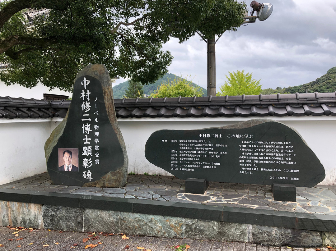 Odonosama Park (Ozujosannomaru Minami Sumiyagura Park)景点图片