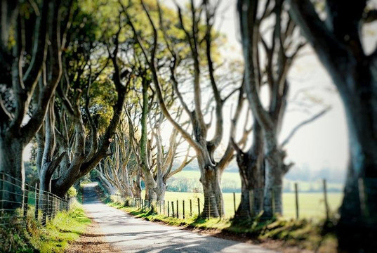 Orca Travel-芭东海滩必去景点