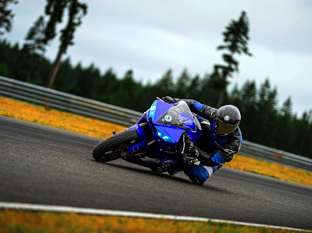 The Ridge Motorsport Park景点图片