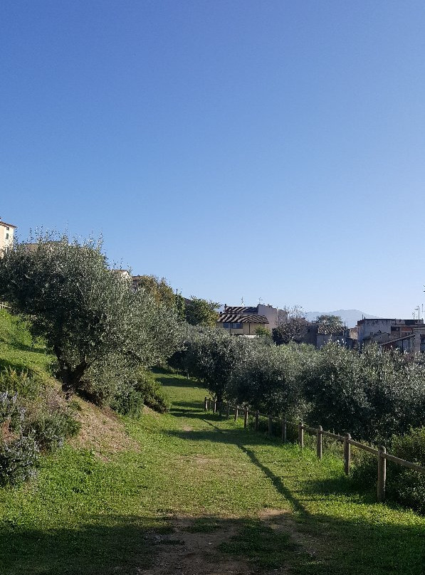 Parco Cittadino Orto del Vescovo景点图片