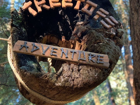 Viva Tours & Charters-北温哥华必去景点