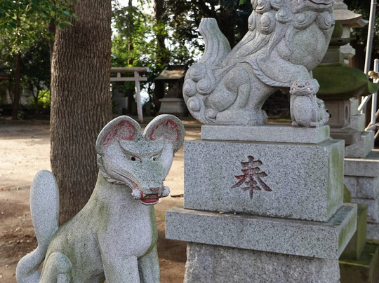 Hatsutomi Inari Shrine-鎌仓市必去景点