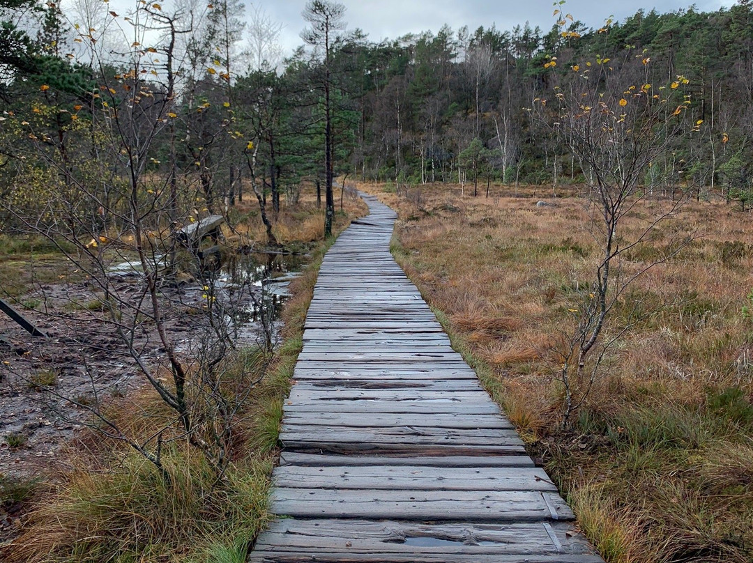 Lysefjorden Adventure-斯塔万格必去景点