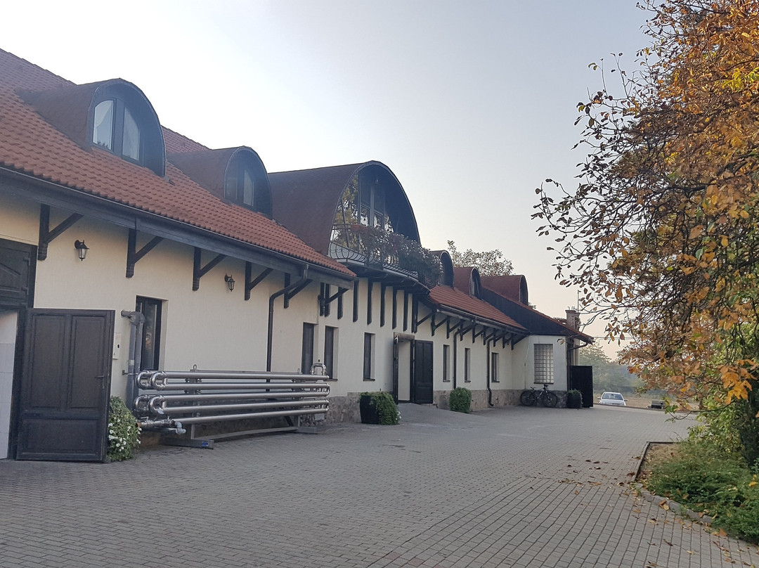 Balla Geza Winery景点图片