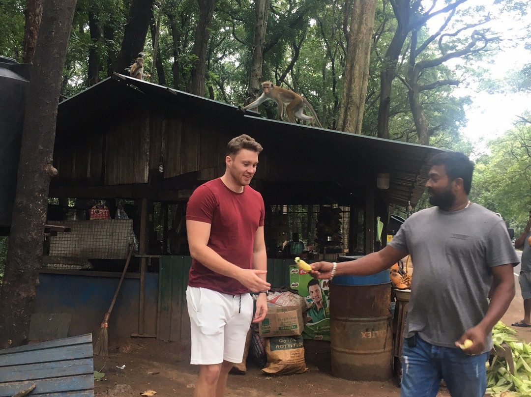 Tour Guide in Sri Lanka景点图片