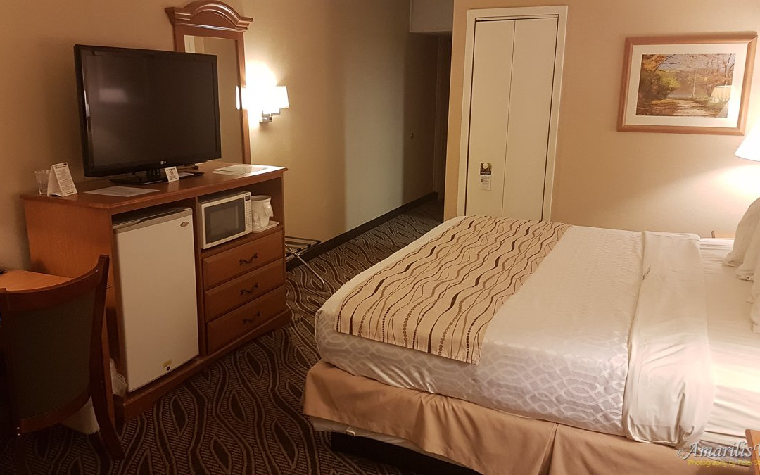 Best Western Clifton Park主图