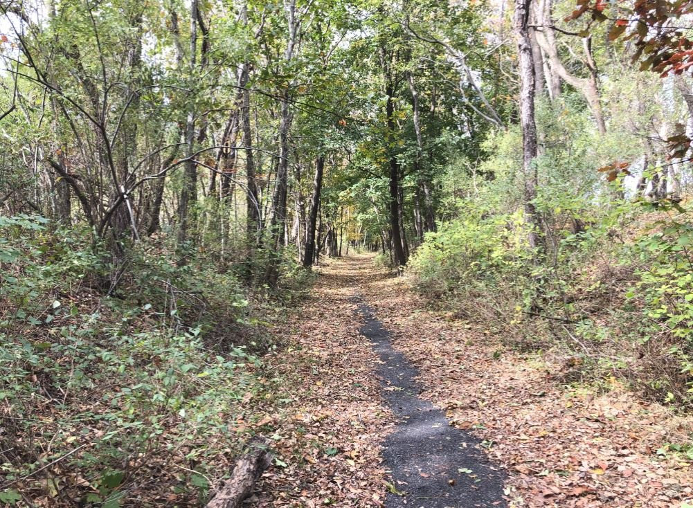 Lake Hopatcong Adventure Company景点图片