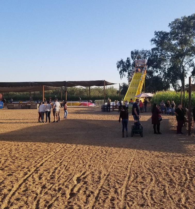 Hunter Family Farms-Atwater必去景点